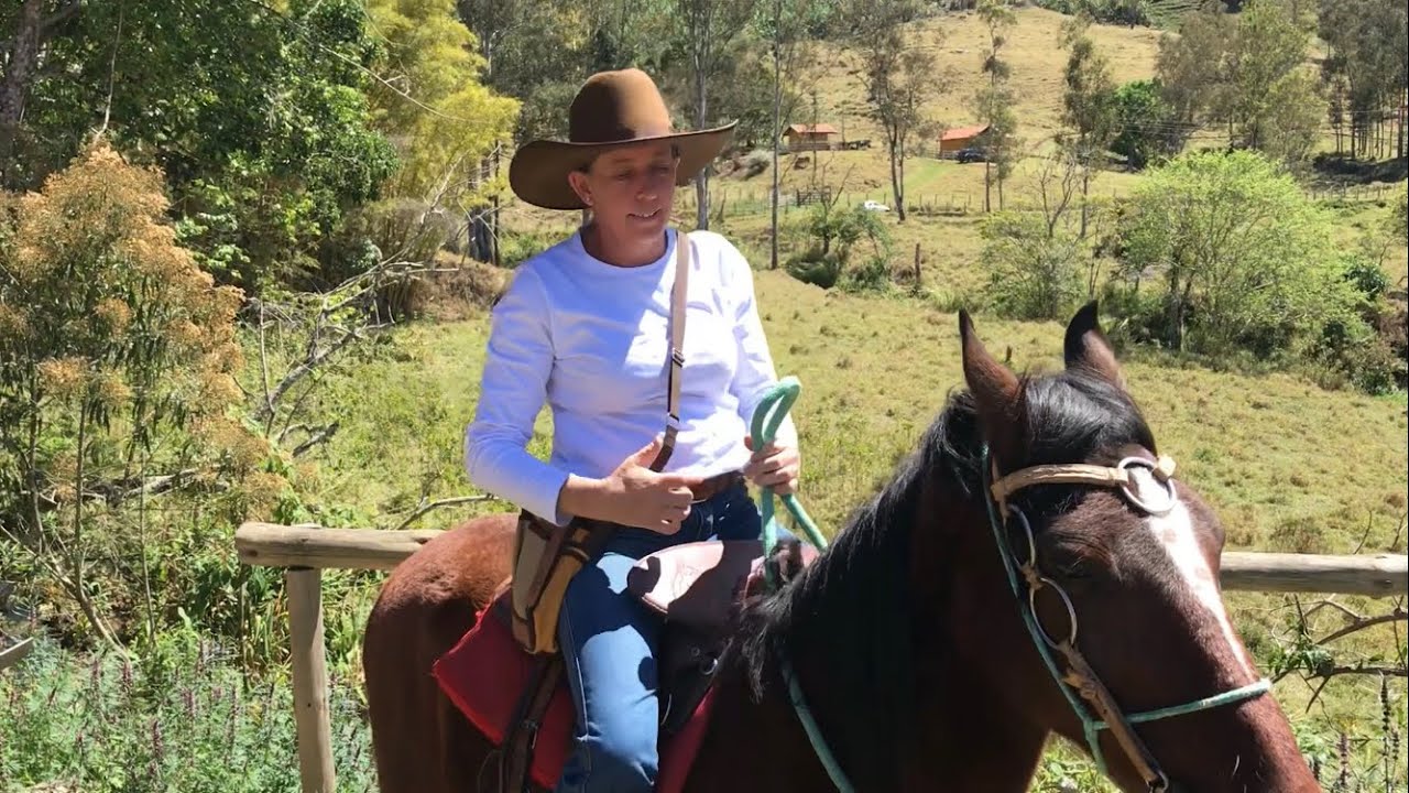 CAVALO ARREADO PASSA UMA VEZ SÓ - FIM DE TARDE NA ROÇA.