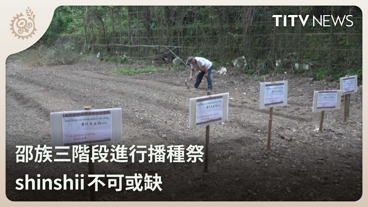 邵族三階段進行播種祭 shinshii不可或缺｜每日熱點新聞｜原住民族電視台