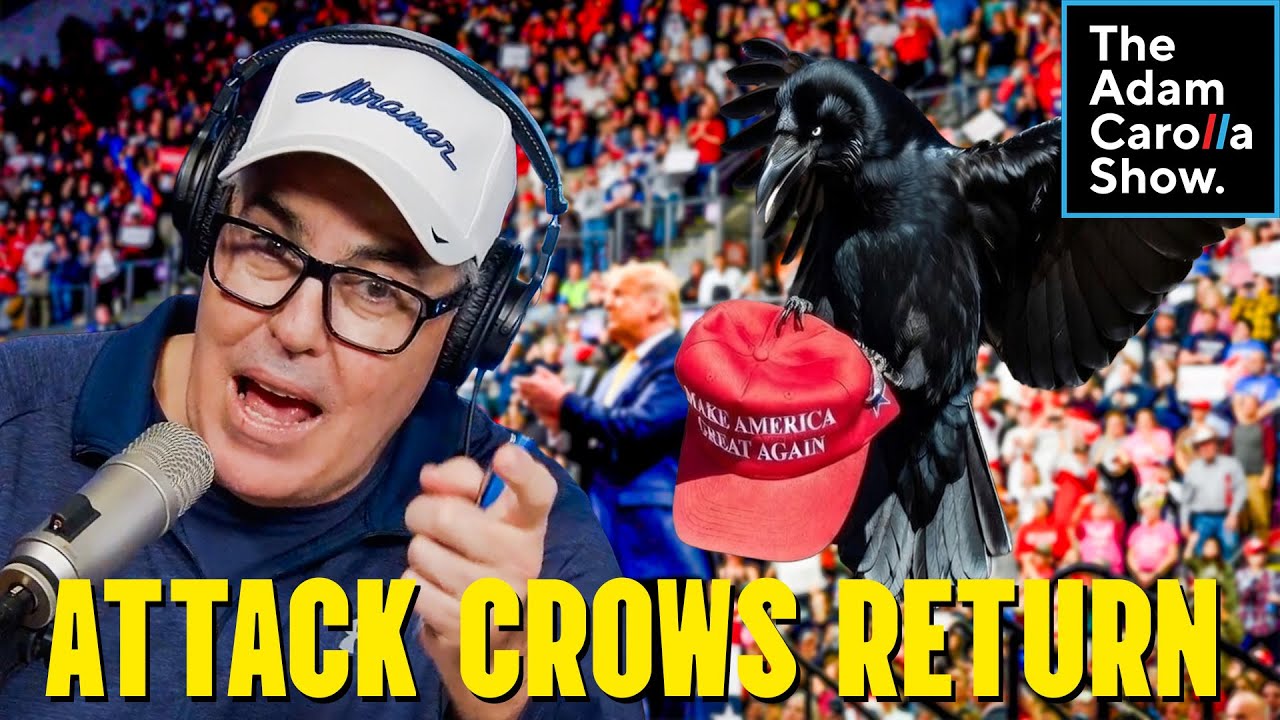Man Trains Crows to Attack MAGA Hats+MLK Day Becomes Palestine Propaganda