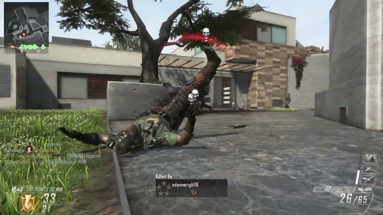Call of Duty Black Ops II Plutonium Client Team Deathmatch on Raid