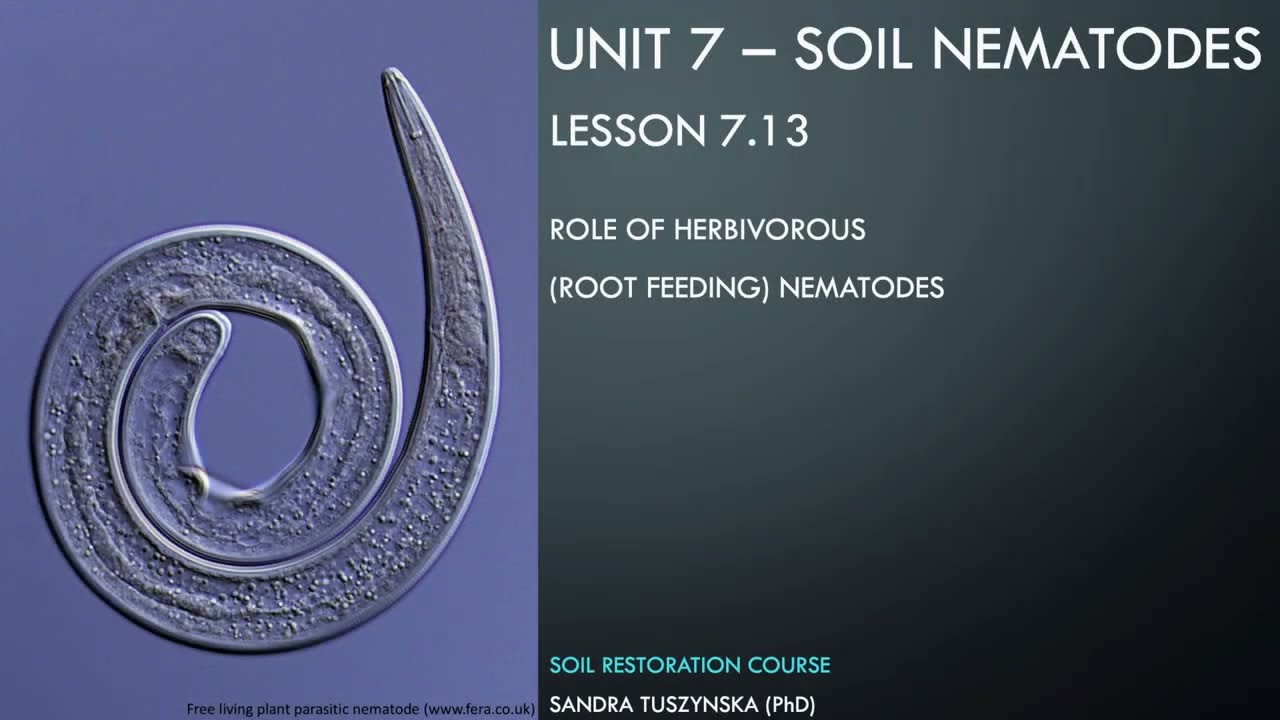 Lesson 7.13 -  Role of root feeding nematodes