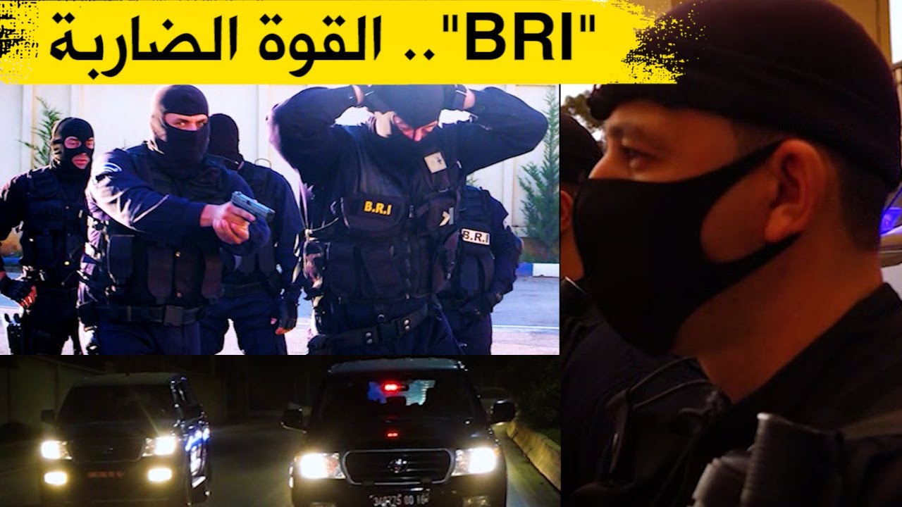 شاهدوا.. كيف يستعد أفراد وحدات البحث والتحري 
