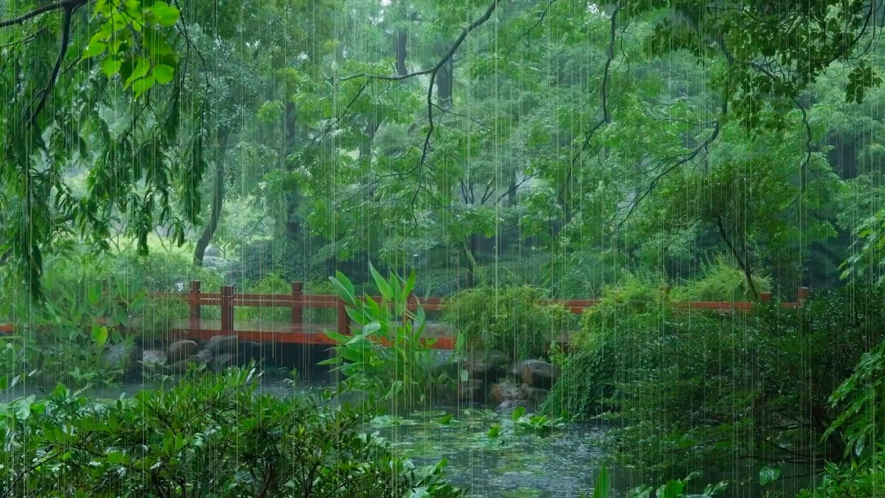 The beautiful lotus pond is raining(33) , sleep, relax, meditate, ASMR, Real Shot