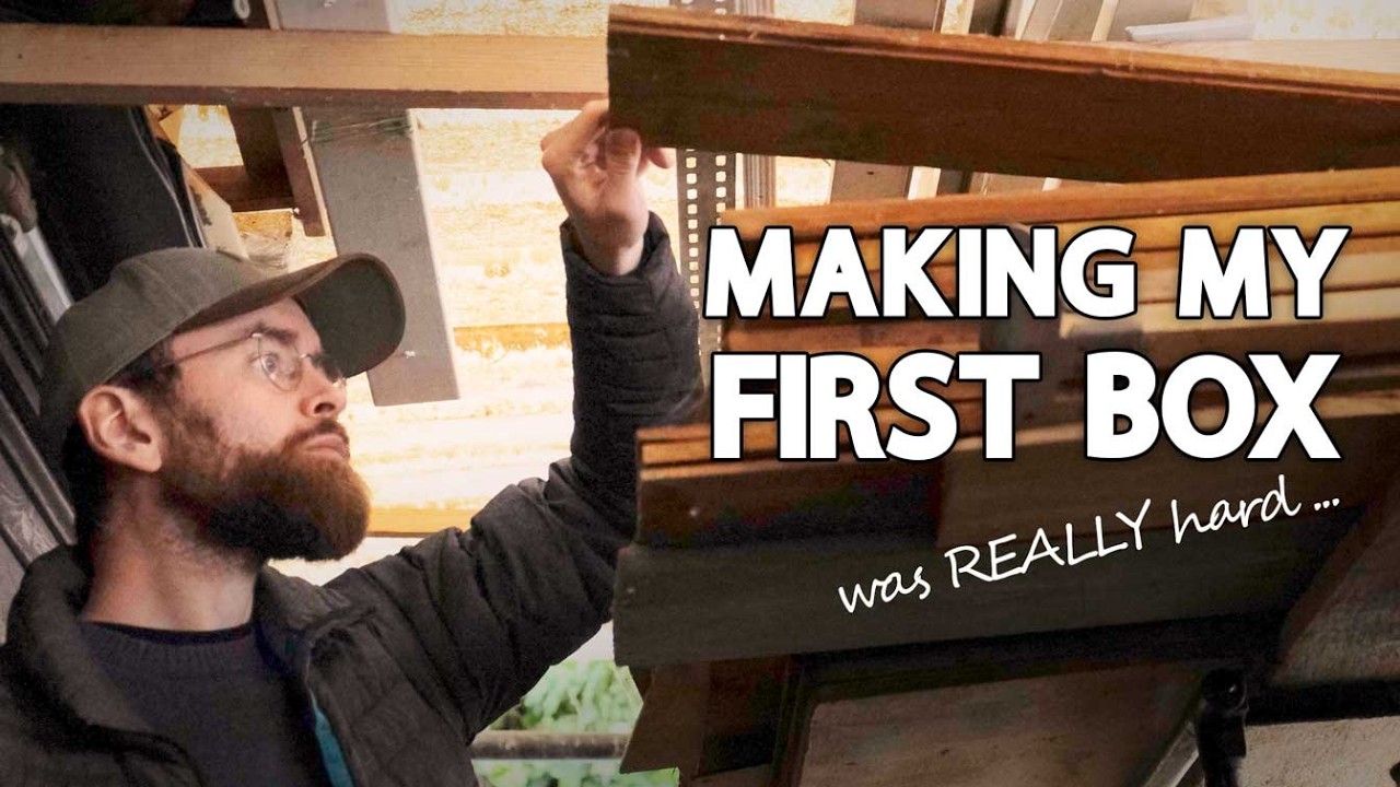 I made a box and every step was a challenge [except for VEVOR] // Woodworking