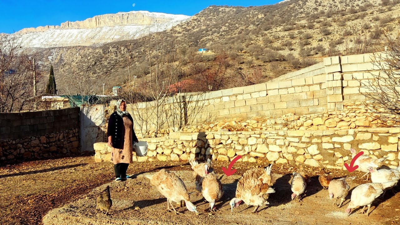 They Went Crazy for This Feed