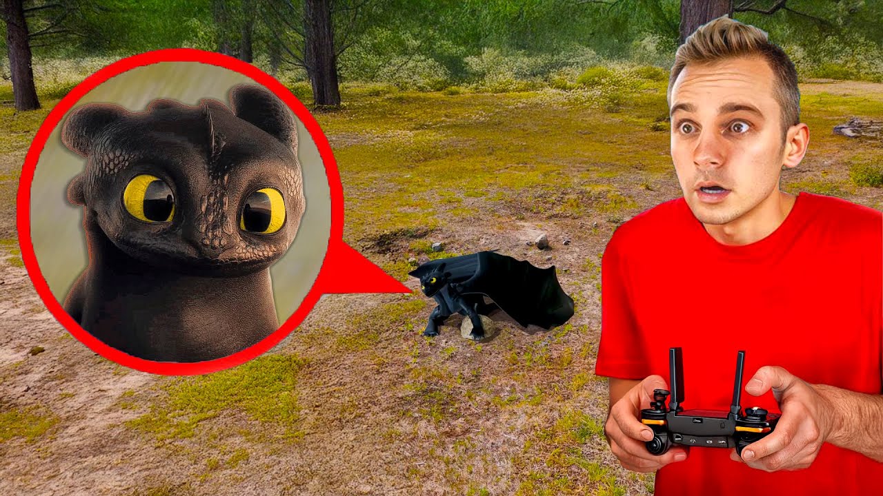 ДРАКОН Беззубик - Я Снял на Дрон (Как приручить дракона Toothless) Папа Раймик