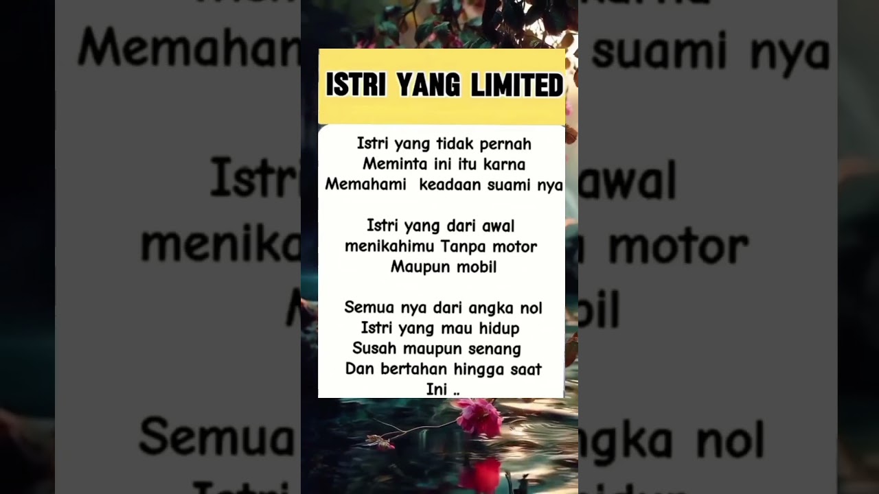 istri limited edition 