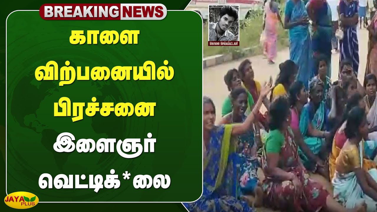 காளை விற்பனையில் பிரச்சனை- இளைஞர் வெட்டிக்*லை | Pudukkottai | Jaya Plus