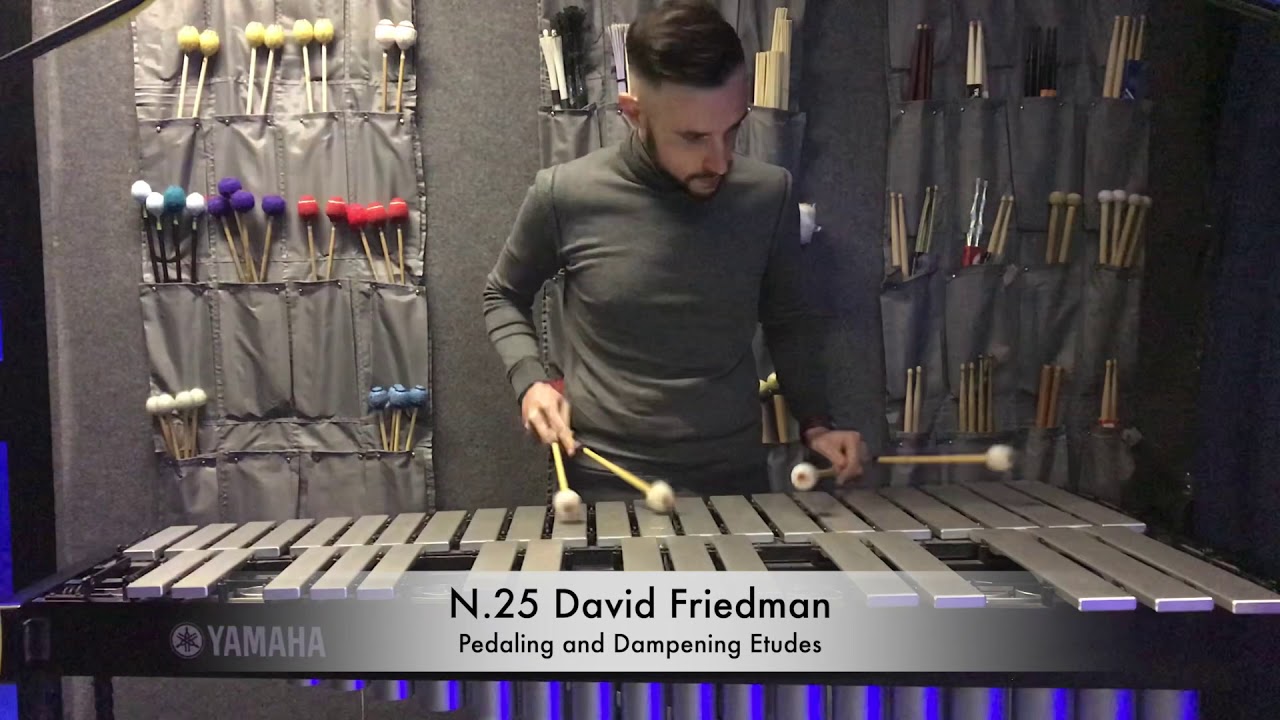 Studio N.25 David Friedman  Pedaling and Dampening