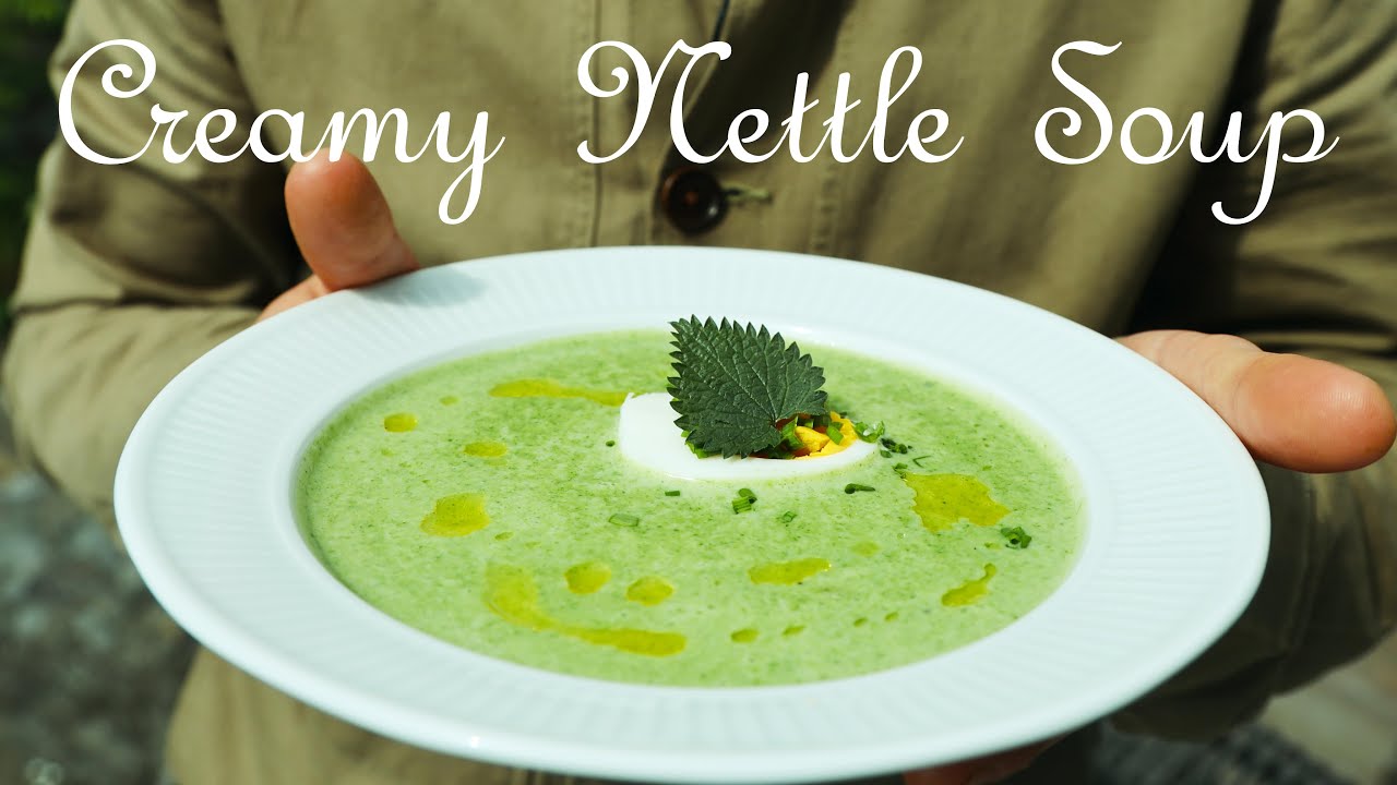 Creamy Nettle soup🍵-Julien Food