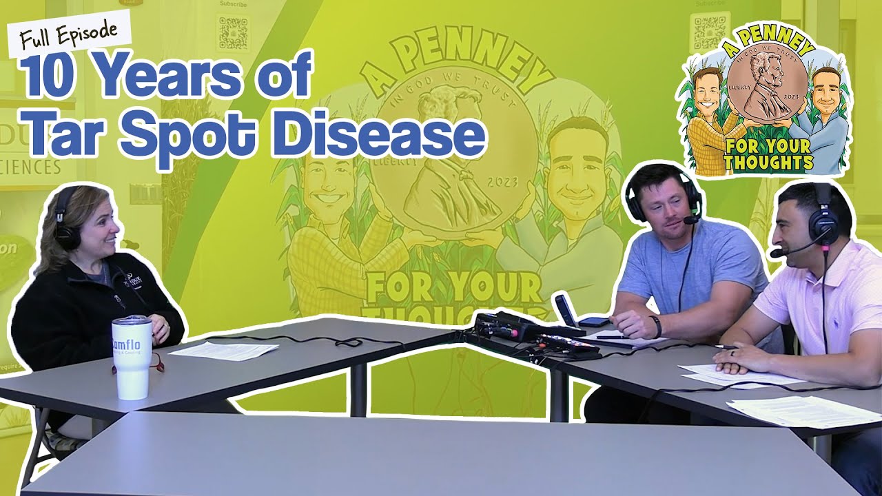 10 Years of Tar Spot Disease with Purdue University’s Darcy Telenko
