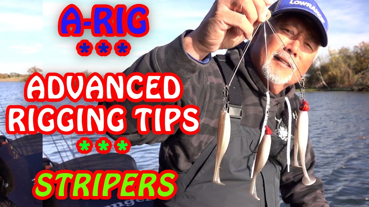 TRIGGER Big Striper Hits with A-Rig! (Advanced Rigging & Tackle Tips)