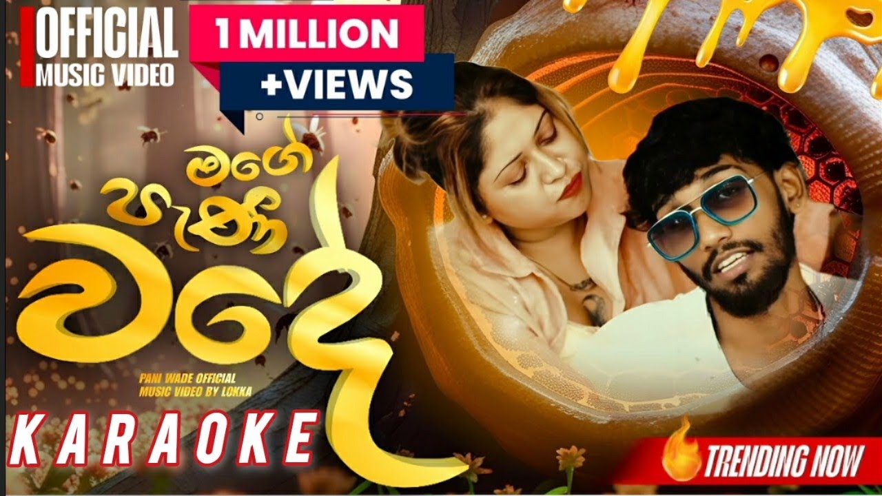 මගෙ පැණි වදේ karaoke