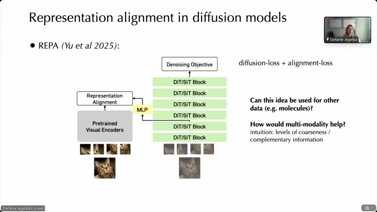 Prof. Stefanie Jegelka | Benefits of Multi-modality: alignment, unpaired data and cross-model cor...