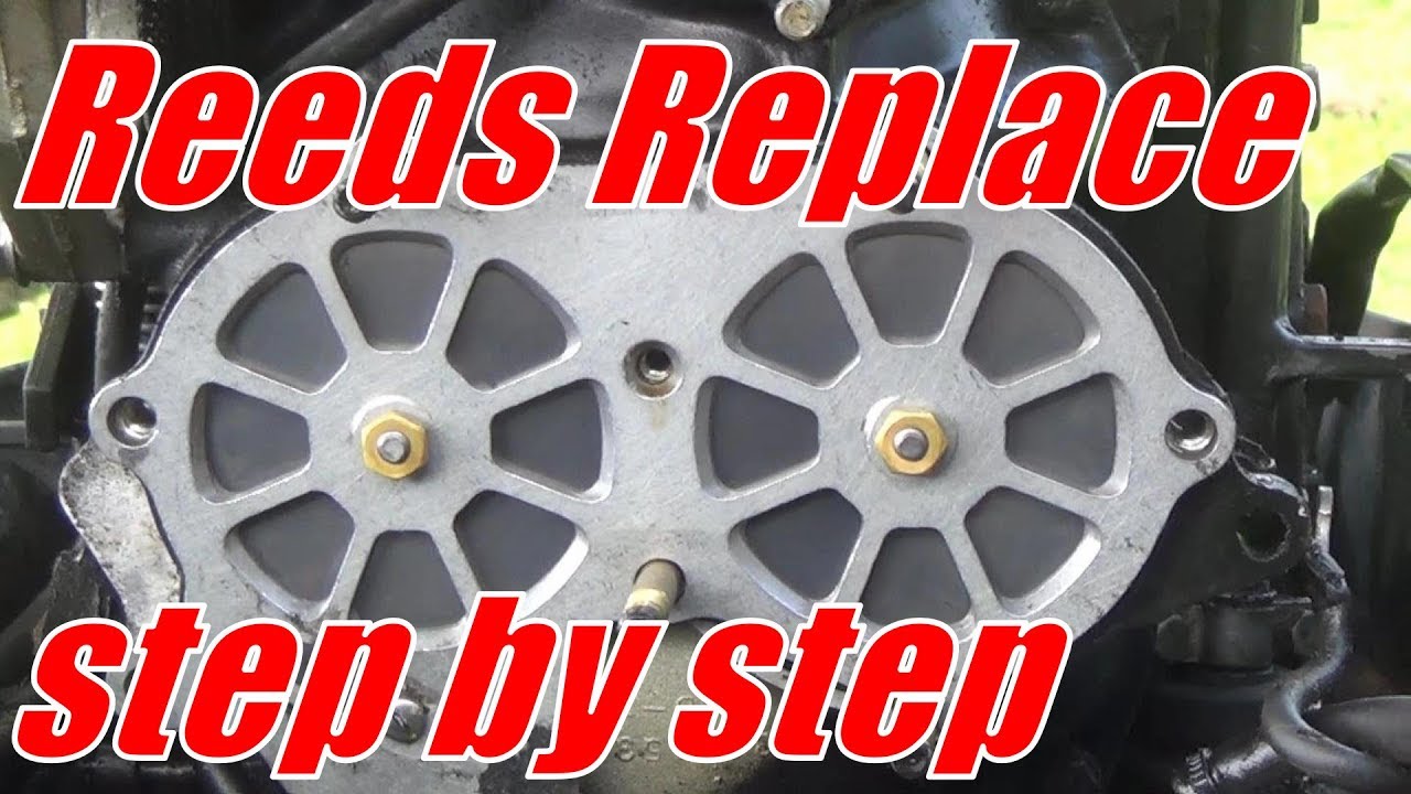 Evinrude  Reeds Replace the Easy Way {step by step}
