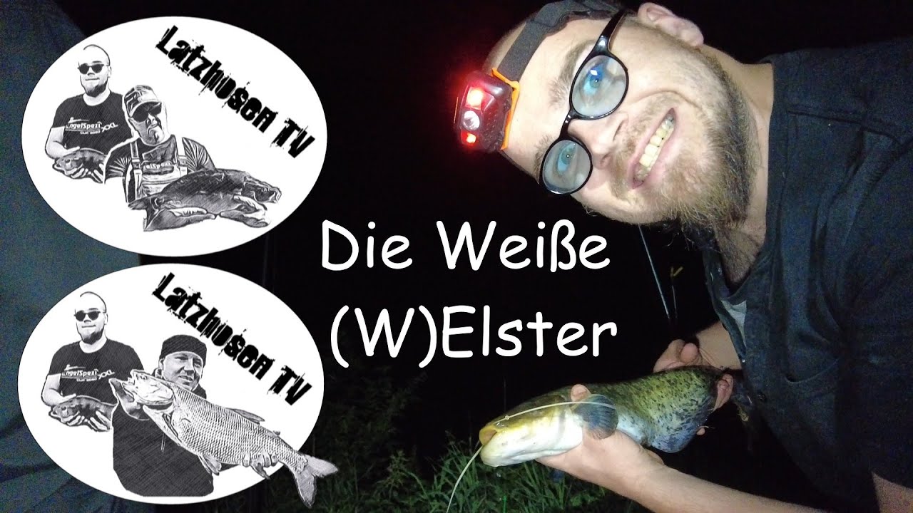 Die Weiße (W)Elster