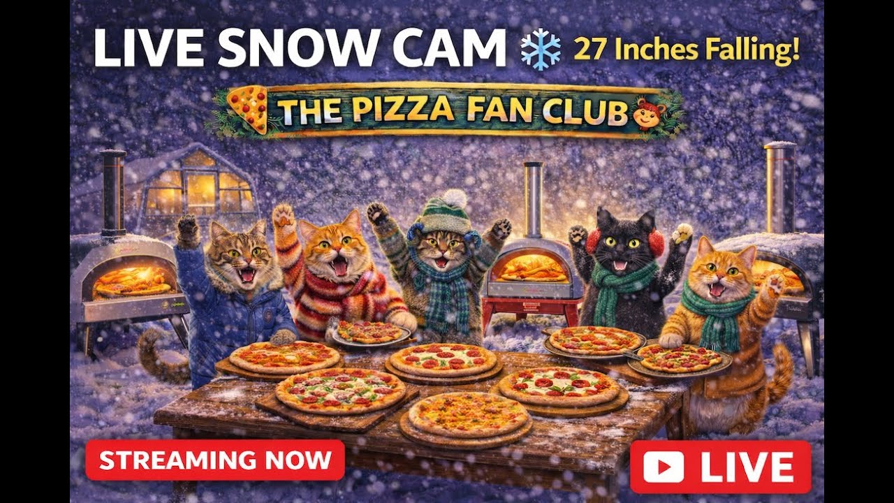 LIVE Snow Cam ❄️ 27 Inches Falling | Paw Syndicate Backyard (Pizza Fan Club)