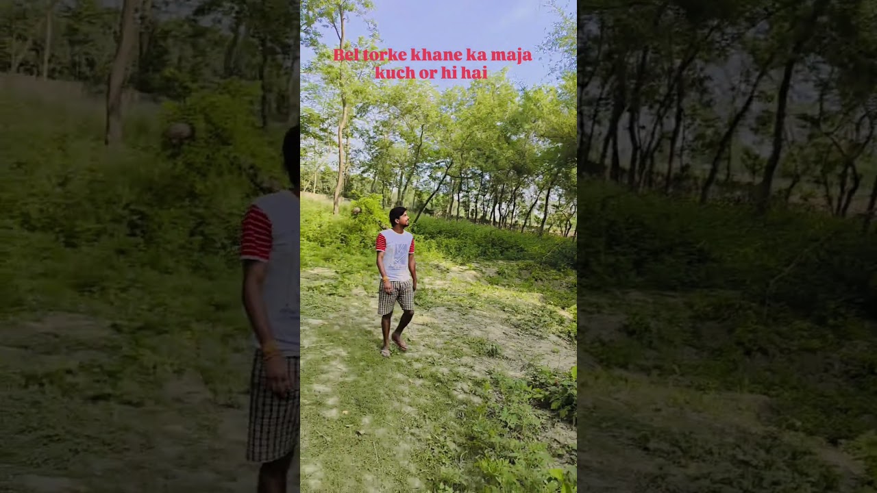 #trending #love #jungle #forest bel tor ke khane ka maja kuch or hi h