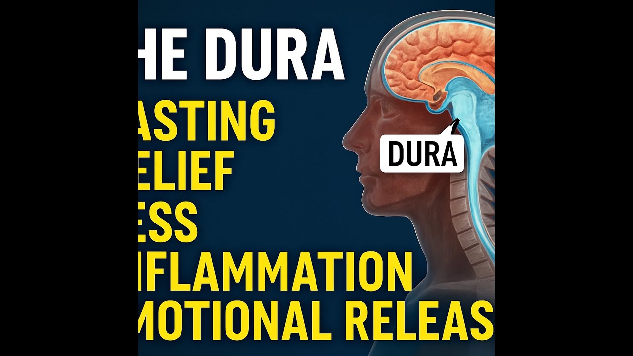 Dura Mater Deep Dive: What Your Doctor Never Told You