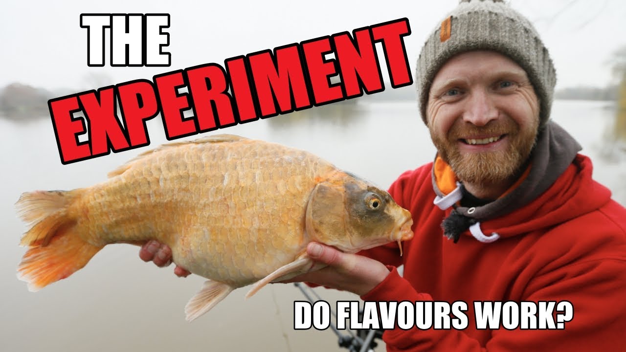 FEEDER FISHING for CARP - FLAVOURINGS - Part Two - Barston - Rob Wootton