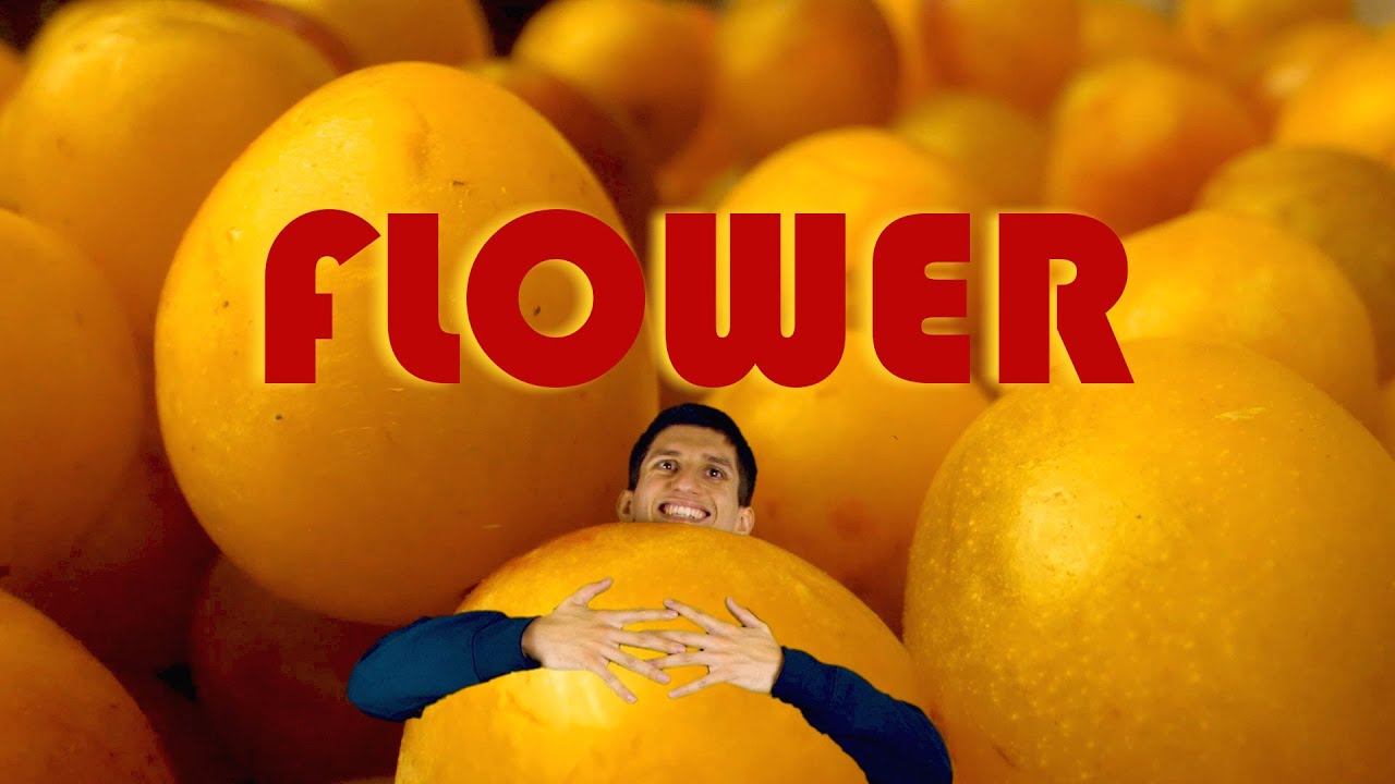 PLÜM - Flower (Unofficial music video)