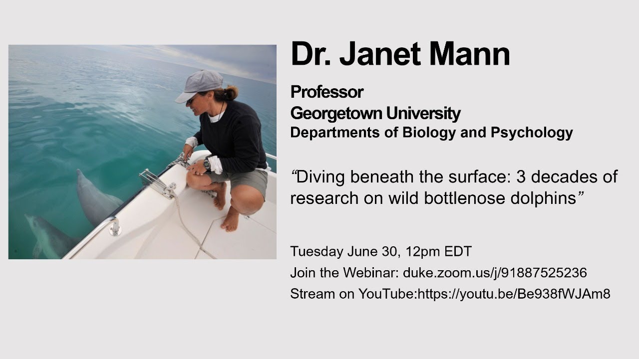 Dr. Janet Mann: Long-Term Animal Research Seminar Series
