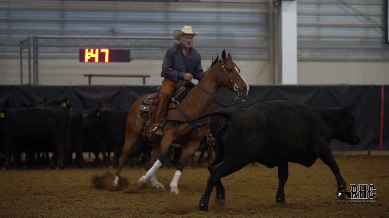 Ranch Horse Championship Highlights