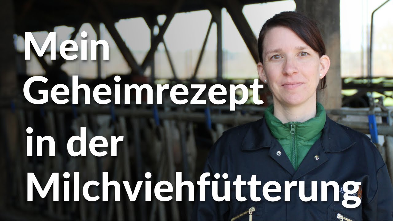 Geheimrezept in der Milchviehf&uuml;tterung