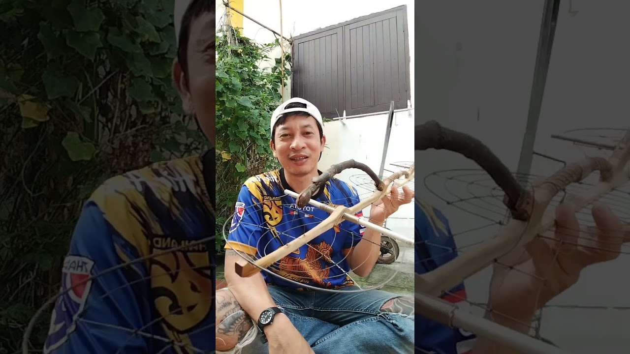 เพนียดต่อนกเขาใหญ่#ขึ้นฟีดเถอะ #comedy #funny @เซียนฮ้างChanel