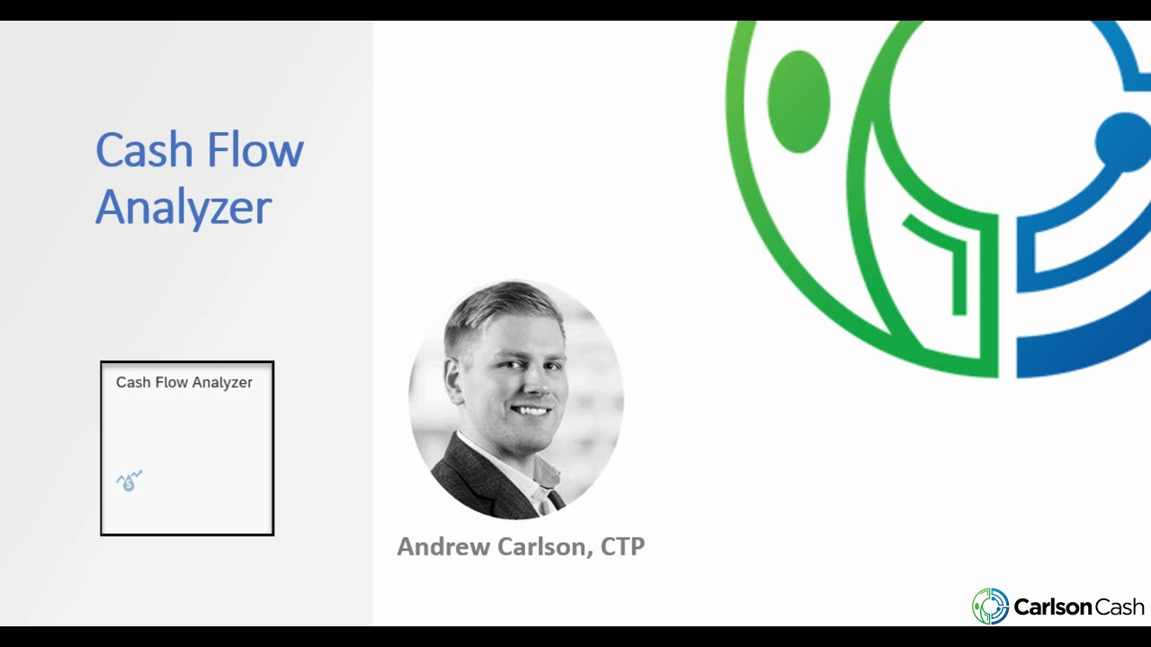 SAP Treasury - Cash Flow Analyzer