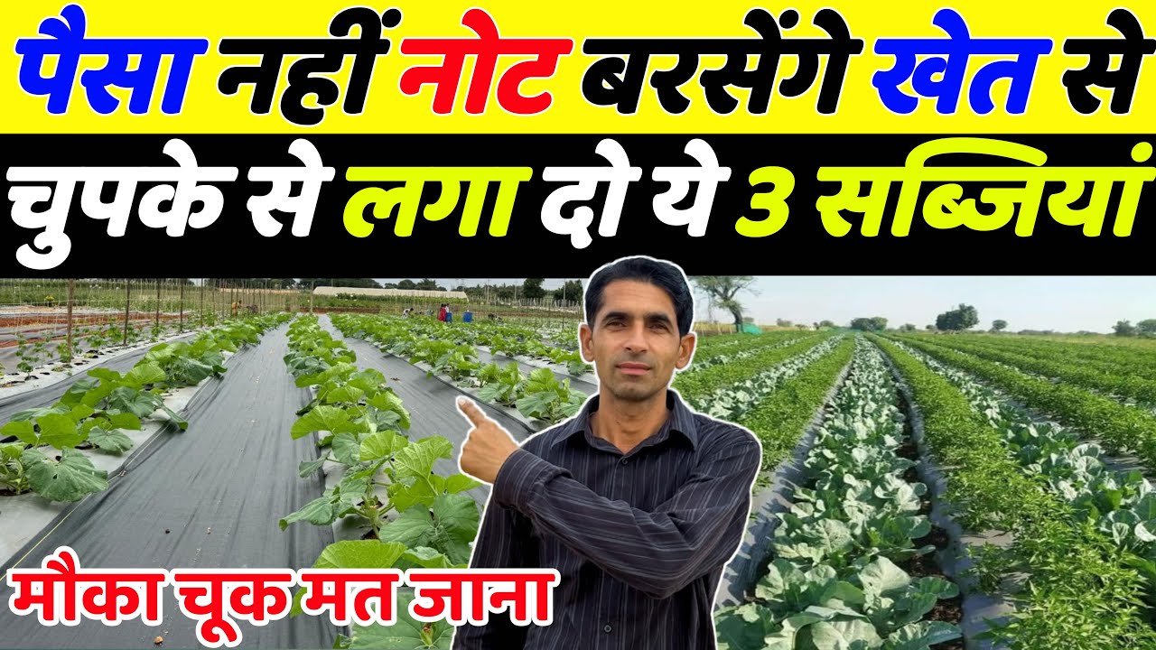 खेत से बारिश होगी नोटों  की जल्दी से लगा लो ये 3 सब्जियाँ | January me konsi sabji lagaye | Kheti 