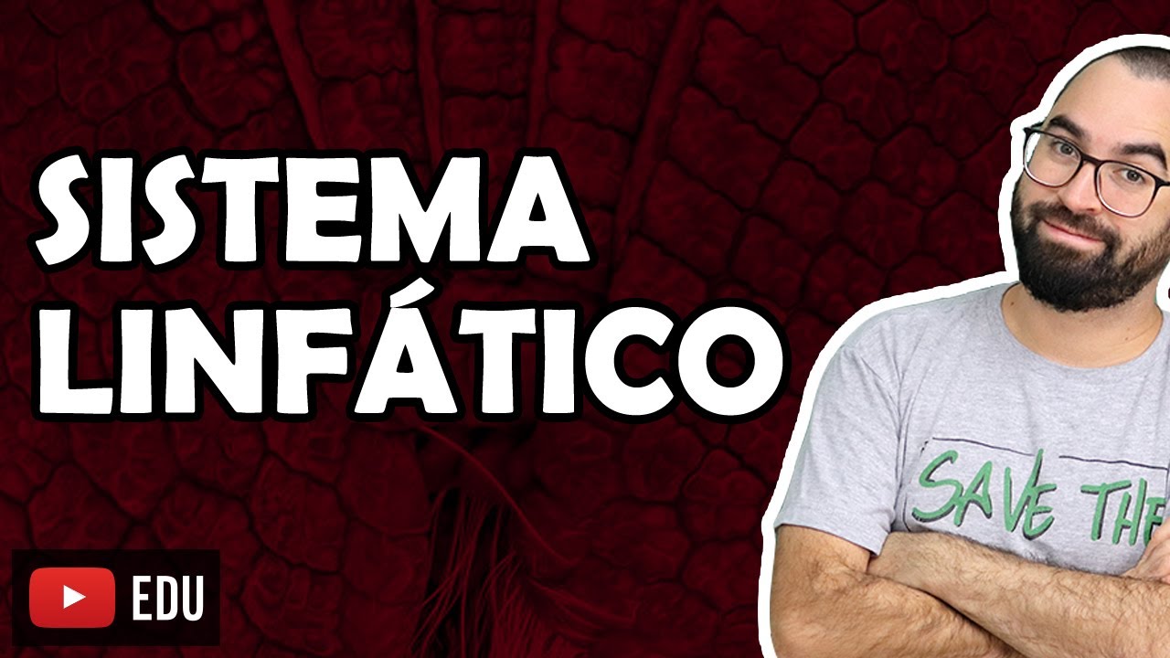 Sistema Linfático - Aula 26 - Módulo VII: Histologia e Fisiologia Humana | Prof. Gui