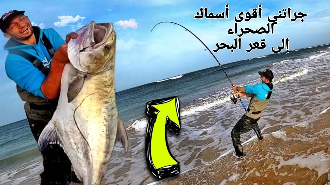 #شاهد #أضخم  أسماك الصحراء لي كانت غاتجرني للبحر لولا لطف لله