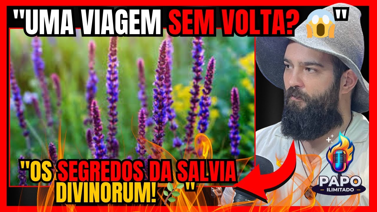 &ldquo;RELATO DE EXPERI&Ecirc;NCIA COM A PLANTA SAGRADA SALVIA DIVINORUM | LEO ZANELLA 🔮🔥&rdquo;