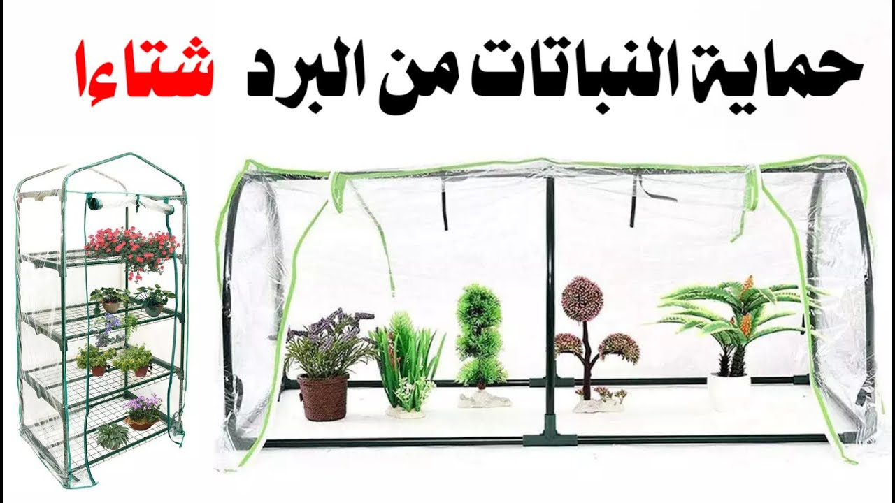 طرق سهلة لحماية النباتات في فصل الشتاء من البرد و الصقيع protecting Plants in Winter