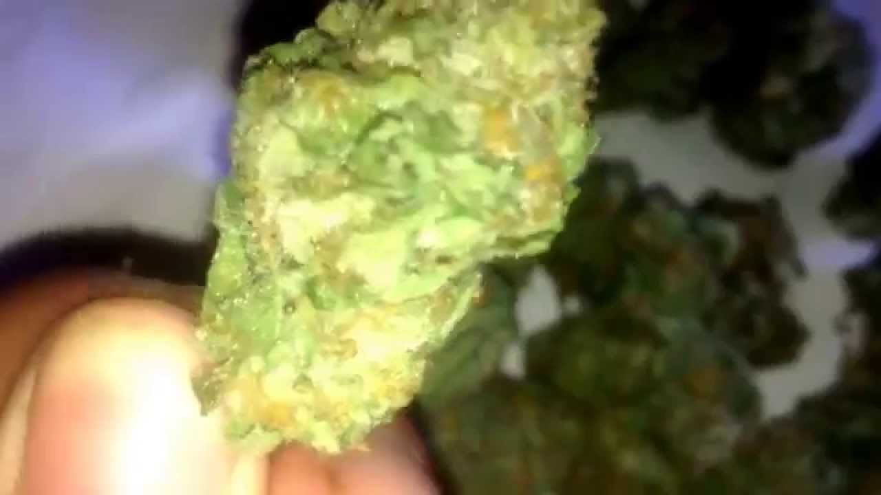 Hydro Larry OG Strain HD