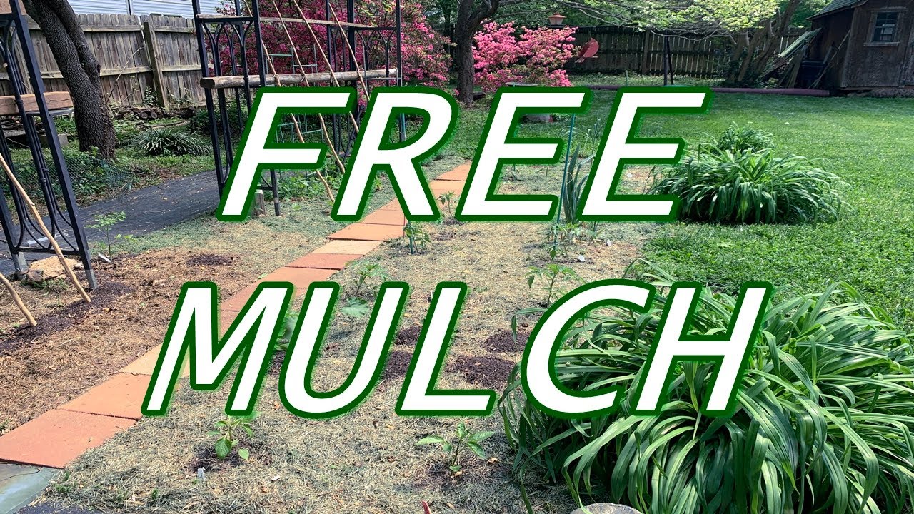 Using Lawn Grass as Compost and a Mulch For Your Vegetable Garden