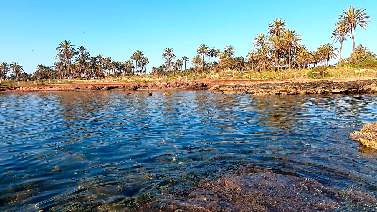 Cala Ferris. Torrevieja (26/04/2025)