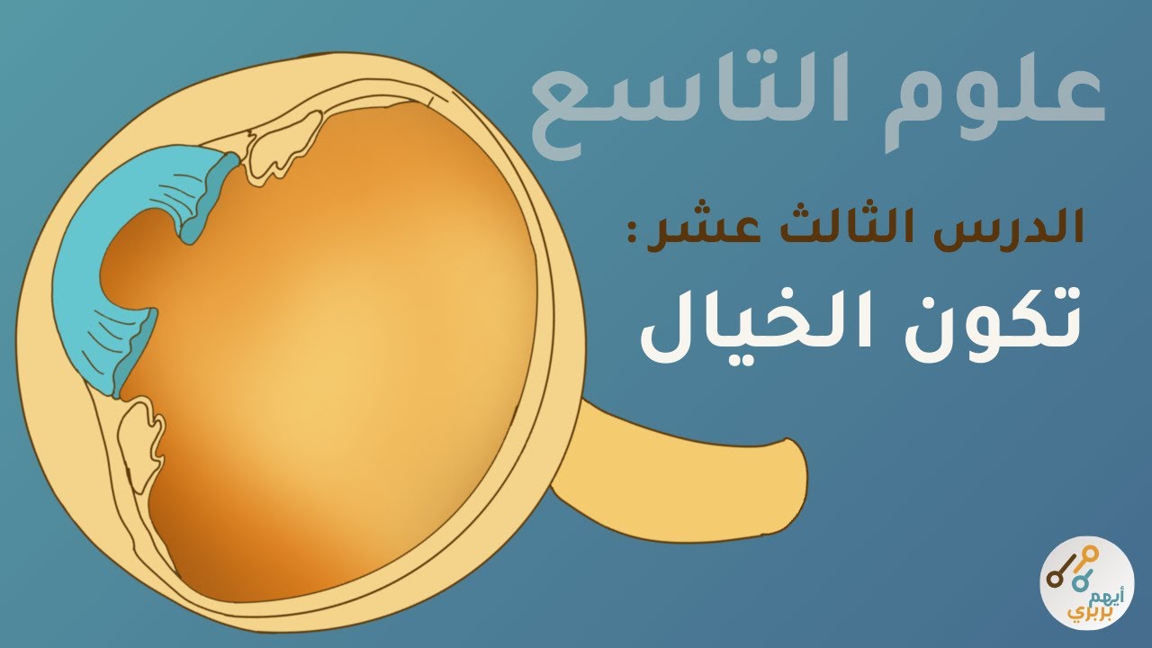 علوم التاسع - الية الرؤية - دورة 2025