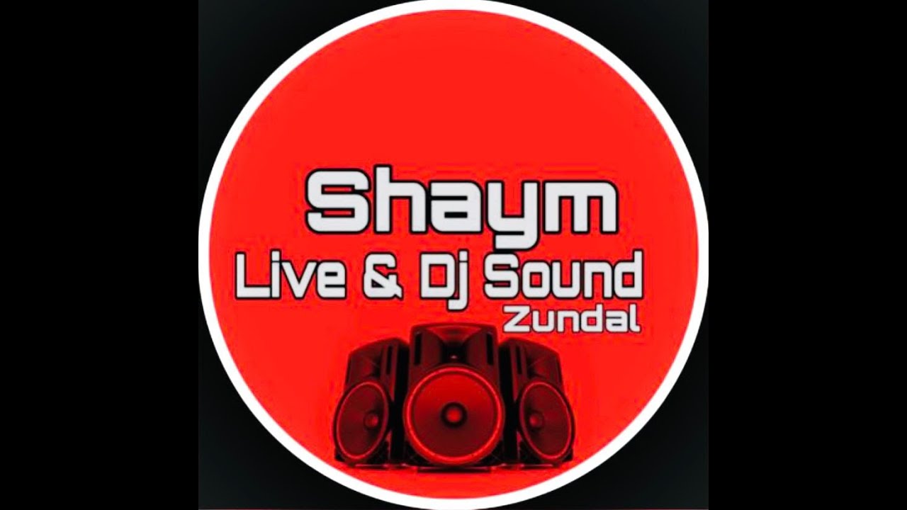 ABHITA PATEL || Chandkheda || day - 7|| Shyam Sound Zundal live