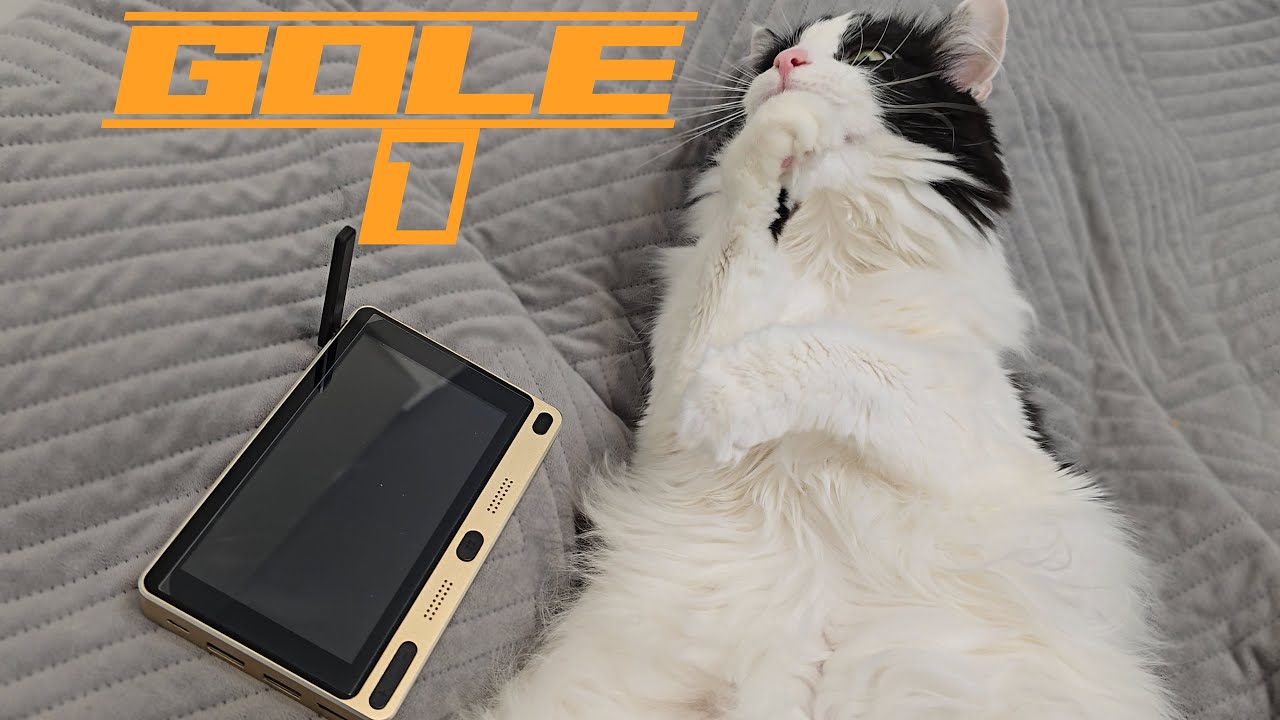 Быстрый обзор Gole 1