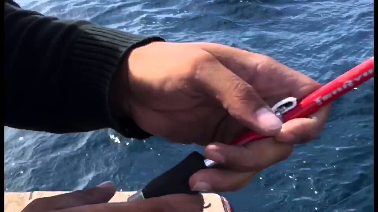 En action sur une Tenryu super mix evo  avec une très grosse pelamide
