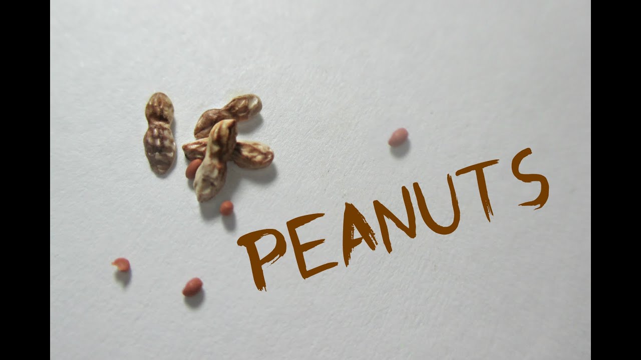 Polymer Clay Peanuts Tutorial -EASY- (Miniature Mondays)