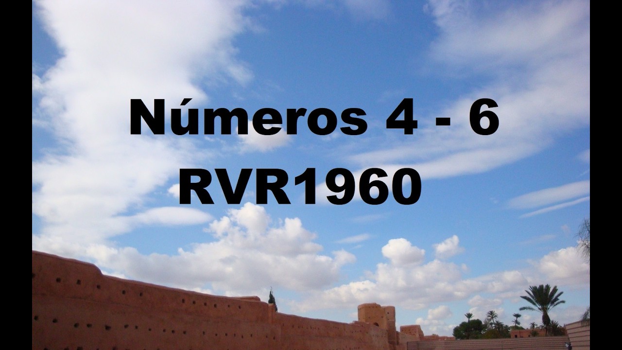 Numeros 4 - 6
