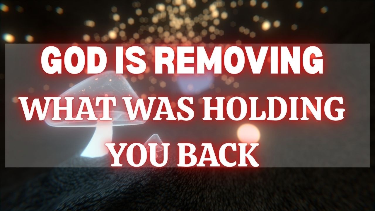 HEAVEN- BORN ONE CONGRATULATIONS!! HEAVEN'S REAL ESTATE DECREE!! LAND BLESSING! #decree #trustgod