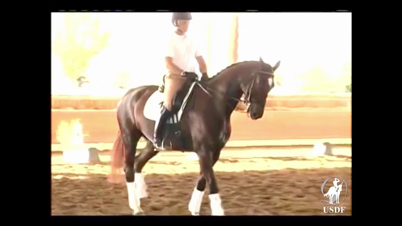 2007 Succeed USDF FEI Level Trainers Conference: Contact and the Neck, Part 2