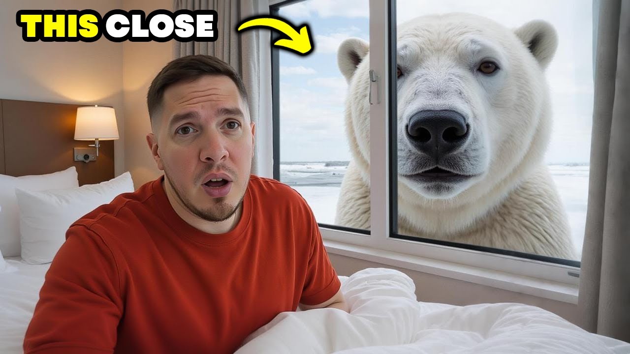 I slept with a POLAR BEAR (crazy experience)
