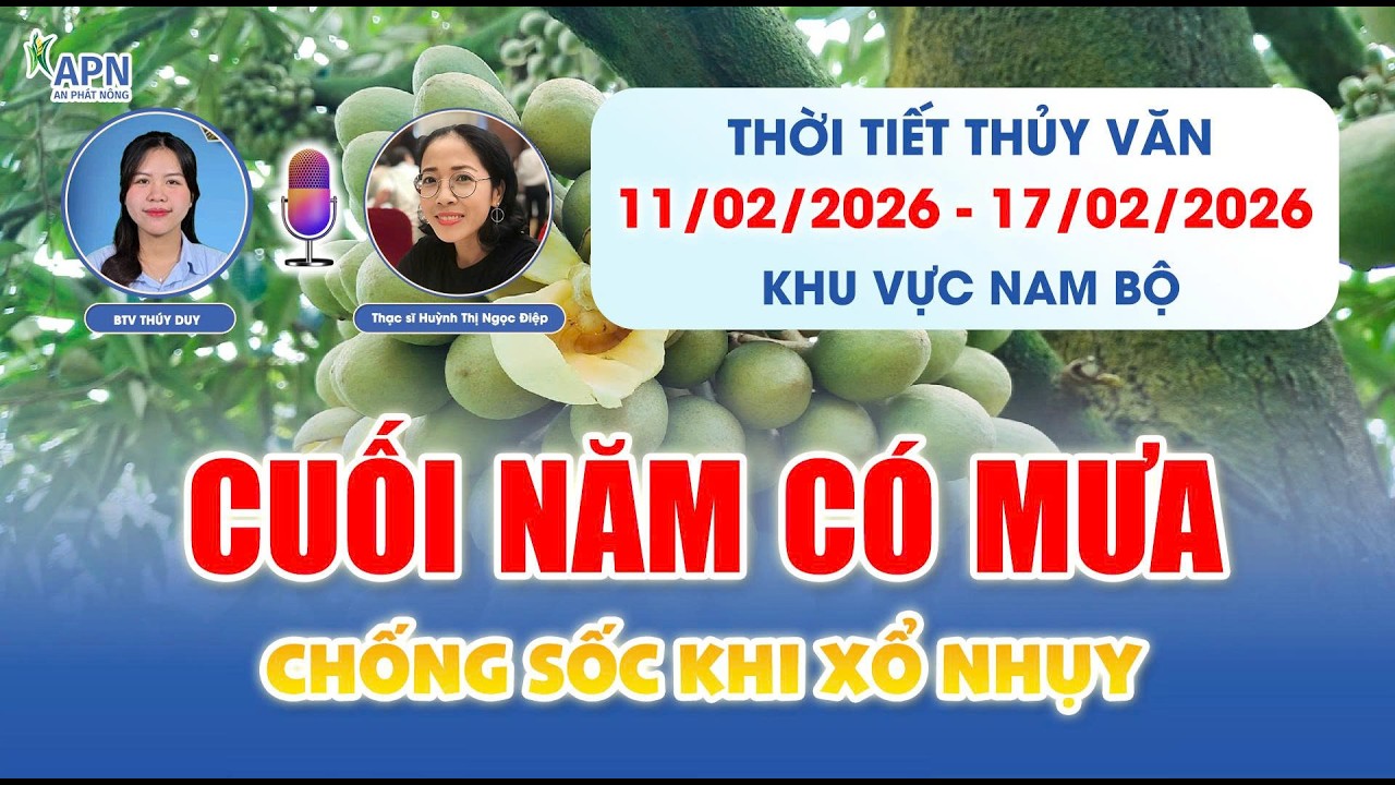 APN - DỰ BÁO THỜI TIẾT THỦY VĂN TỪ 11/02 ĐẾN 17/02/2026 | SÁNG LẠNH TRƯA NẮNG