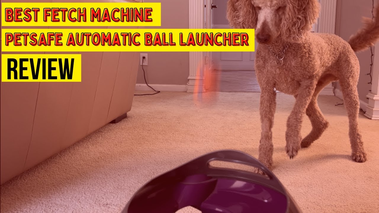 Best Automatic Fetch Machine -  Petsafe Automatic Dog Ball Launcher REVIEW #dogtoys #dogs #doggame