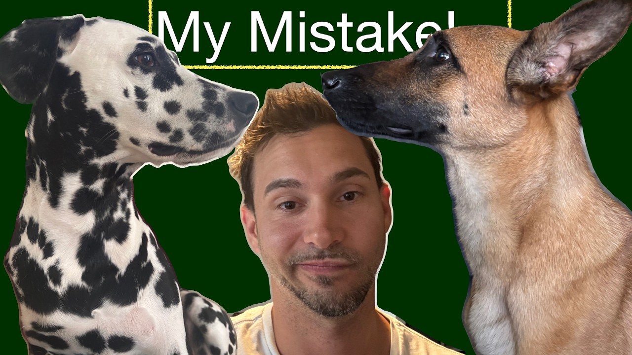 Reactive Dogs and Introductions — What I Got Wrong